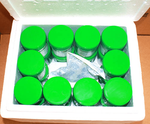 Solder paste